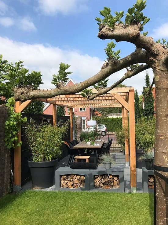 aménagement de la cour