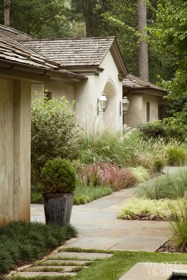 Graminées ornementales