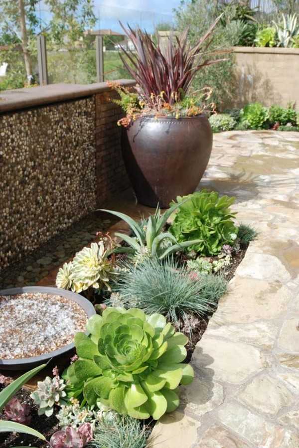 succulentes pour le jardin