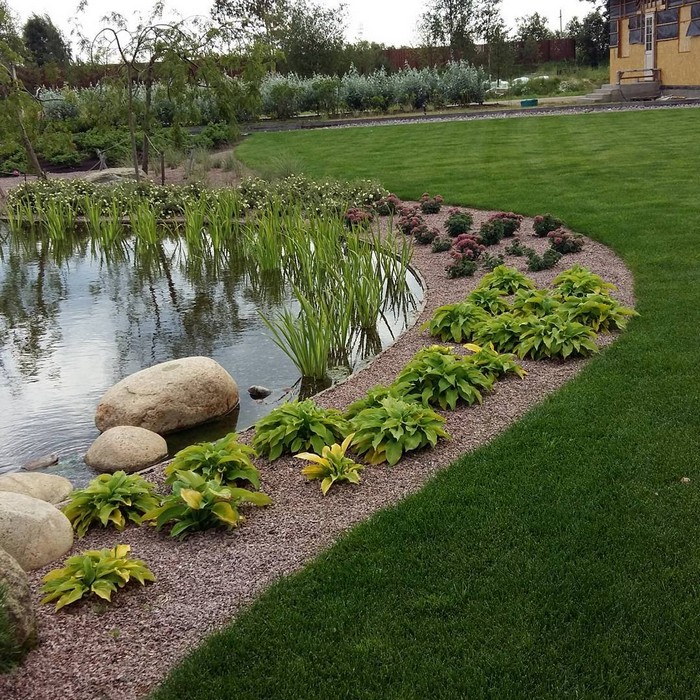 Aménagement paysager du site au bord de l'étang